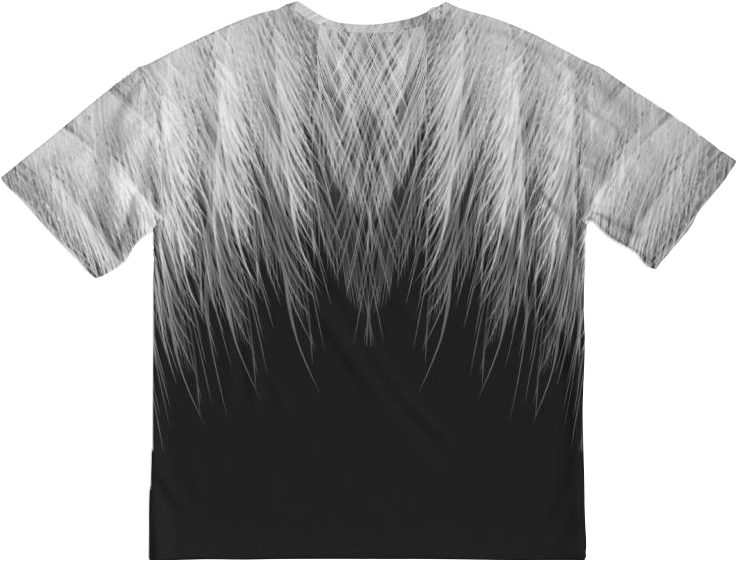 Aquila / Heavyweight Tee