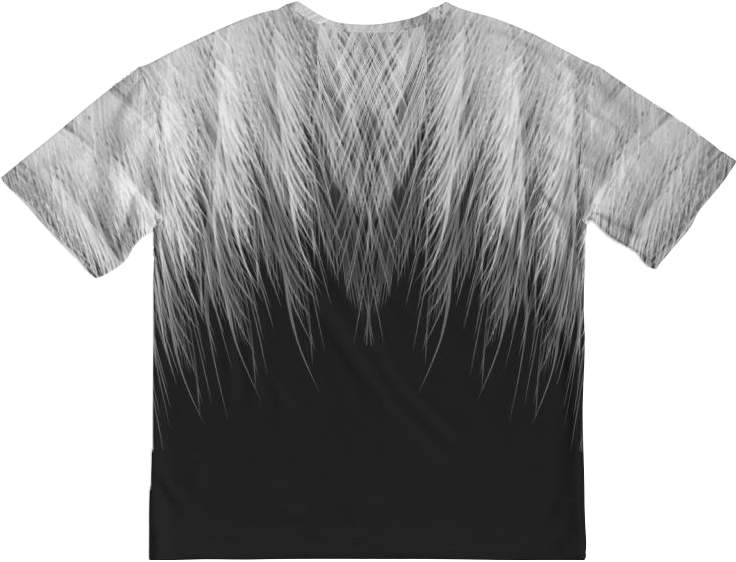 Aquila / Schwergewichts-T-Shirt